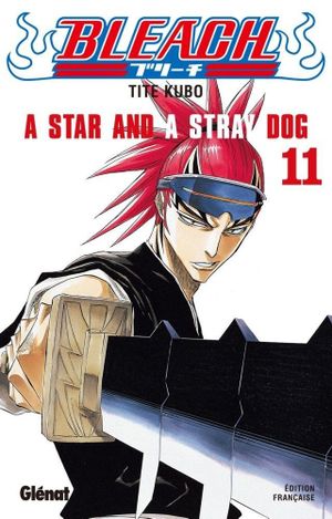 A Star and a Stray Dog - Bleach, tome 11