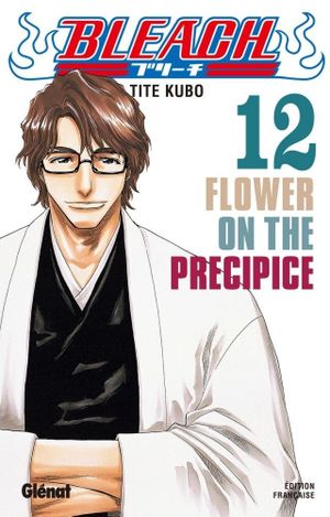 Flower on the Precipice - Bleach, tome 12