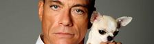 Cover Les meilleurs films avec Jean Claude Van Damme