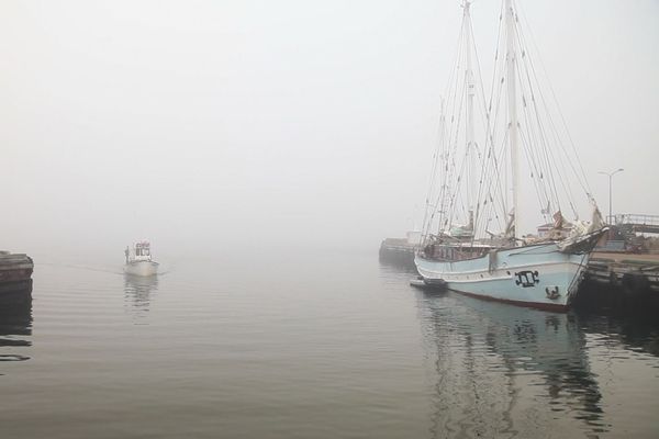 La Forme des îles