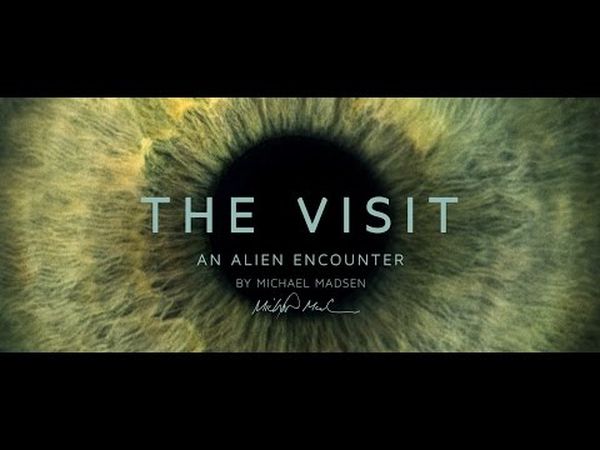 The Visit : Une rencontre extraterrestre