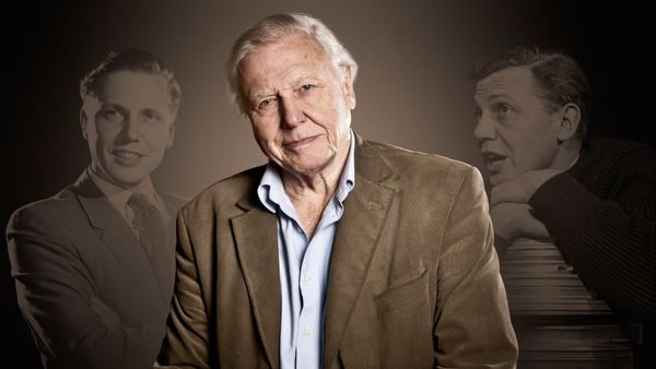 David Attenborough et les secrets des films animaliers