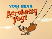 Acrobatty Yogi