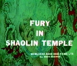 image-https://media.senscritique.com/media/000012155315/0/fury_in_shaolin_temple.jpg