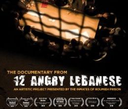 image-https://media.senscritique.com/media/000012166967/0/12_angry_lebanese_the_documentary.jpg