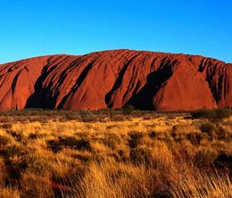 image-https://media.senscritique.com/media/000012202255/0/wanted_down_under_revisited.jpg