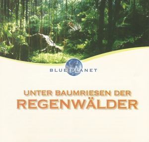 Unter Baumriesen der Regenwälder