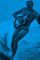 Cover Surf's Up