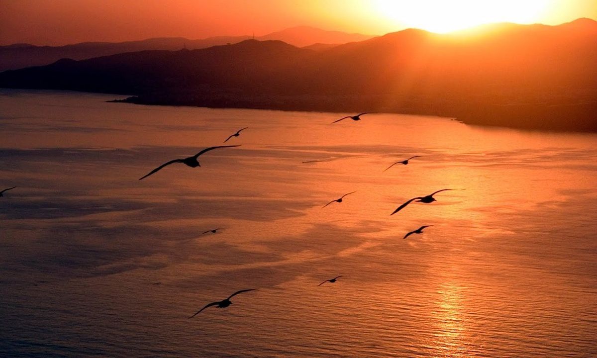 Jonathan Livingston le goéland Film (1975) SensCritique