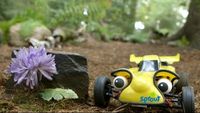 Flower Power