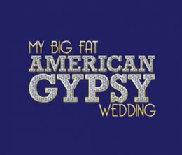 image-https://media.senscritique.com/media/000012284414/0/my_big_fat_american_gypsy_wedding.jpg