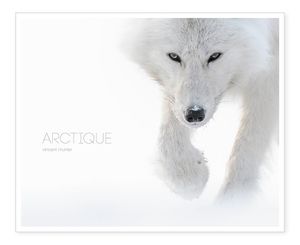 Arctique