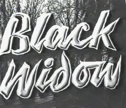 image-https://media.senscritique.com/media/000012308810/0/the_black_widow.jpg