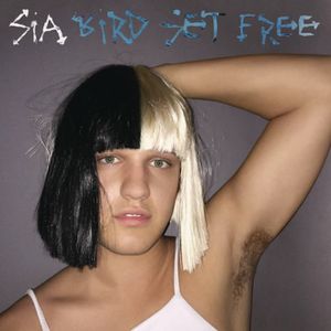 Bird Set Free (Single)