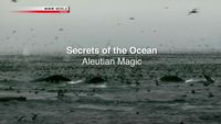 Secrets of the Ocean: Aleutian Magic