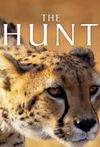 The Huntcover