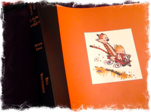 The Complete Calvin & Hobbes, Book One