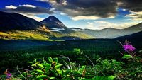Glacier National Park: Grizzly Bears and Rough Rapids