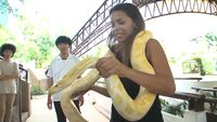 Bangkok