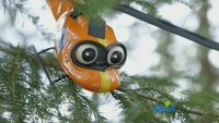 Up a Tree