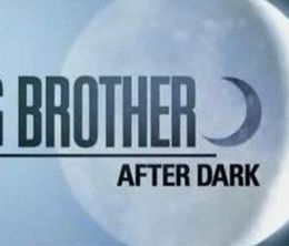 image-https://media.senscritique.com/media/000012453946/0/big_brother_canada_after_dark.jpg