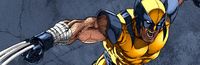 Cover meilleurs_comics_wolverine