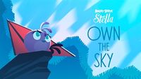 Own the Sky