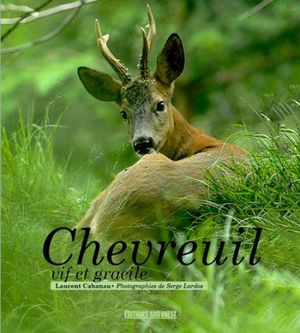 Chevreuil