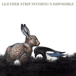 Nothing's Impossible (Depeche Mode cover)