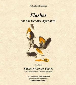 Flashes sur une vie sans importance