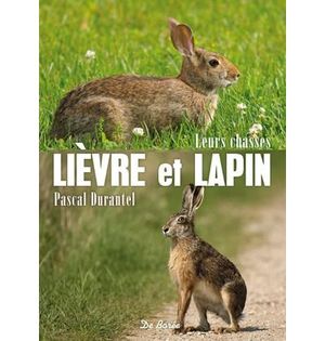 Lièvre et lapin