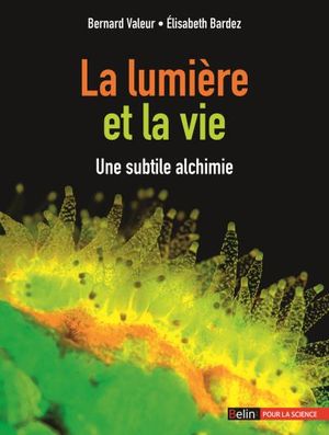 La lumière et la vie