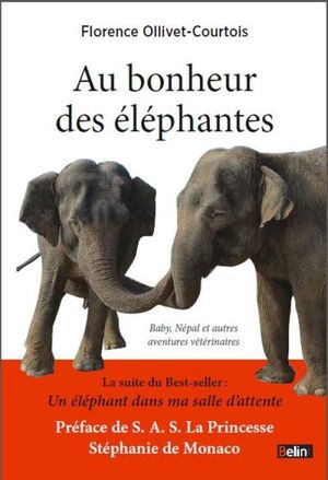 Au bonheur des éléphantes