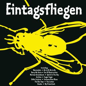 Eintagsfliegen