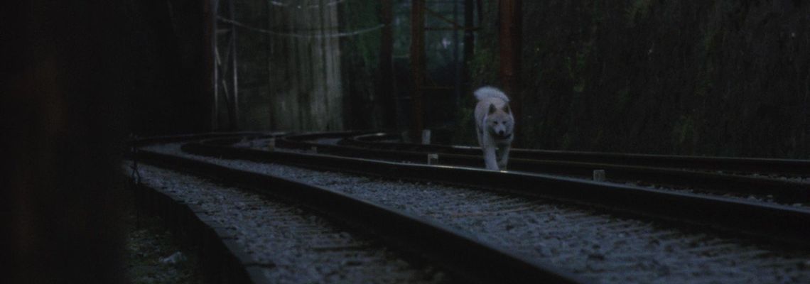 Cover Hachiko : L'histoire vraie d'un chien fidèle