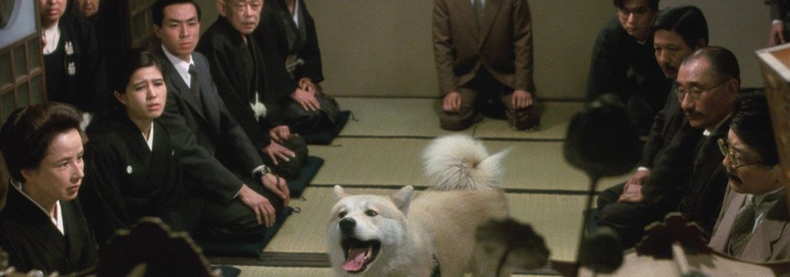 Cover Hachiko : L'histoire vraie d'un chien fidèle