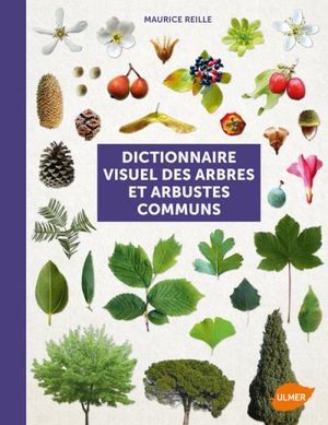 Dictionnaire visuel des arbres et arbustes communs de France