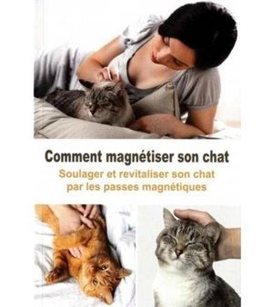 Comment magnétiser son chat