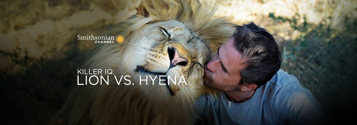 Cover Killer IQ: Lion vs. Hyena