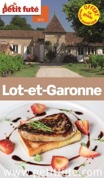 Petit Futé Lot Et Garonne Dominique Auzias Et Jean Paul - 