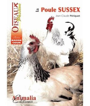 La poule Sussex