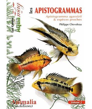 Apistogramma cacatuoides