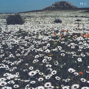 Assembly (EP)