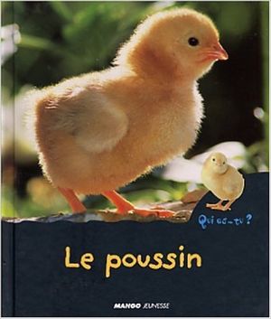 Qui es-tu ? Le poussin