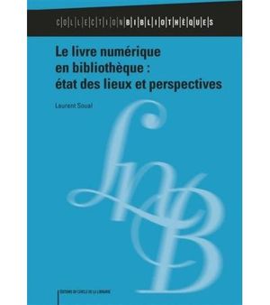 Le livre numérique en bibliothèque