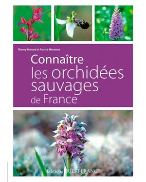 Connaître les orchidées sauvages de France