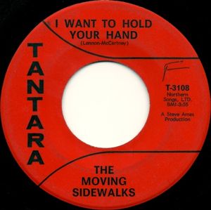 I Want To Hold Your Hand / Joe Blues (Single)