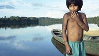 Au coeur de l'incroyable Far West amazonien