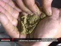 Cannabis en France : l'Incroyable Business