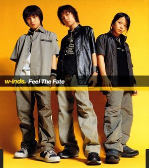 Feel The Fate (Single)